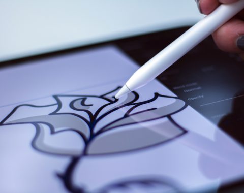 Logo Design & Branding
