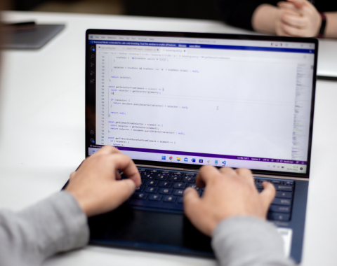 Web Development and UX